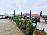 არგო