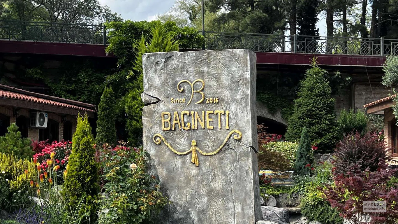 Bagineti