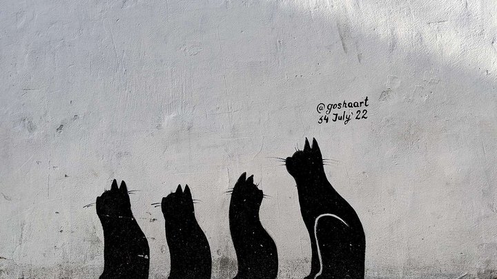 Рисунки на стенах "Черные коты"