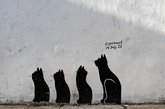 Drawings on the walls "Black cats"