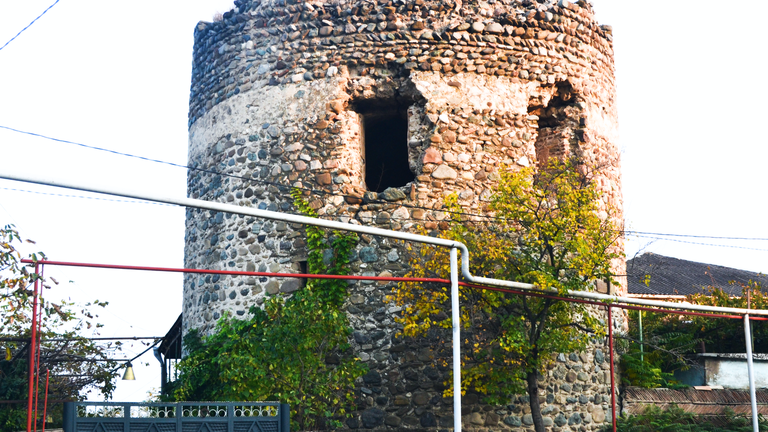 Shervashidzes Ancestral Tower