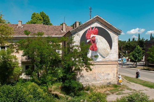 Rooster_avtor_Matthias_Mross