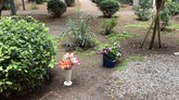 Rosenbloom Flowers & Decor