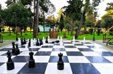Ростовые шахматы