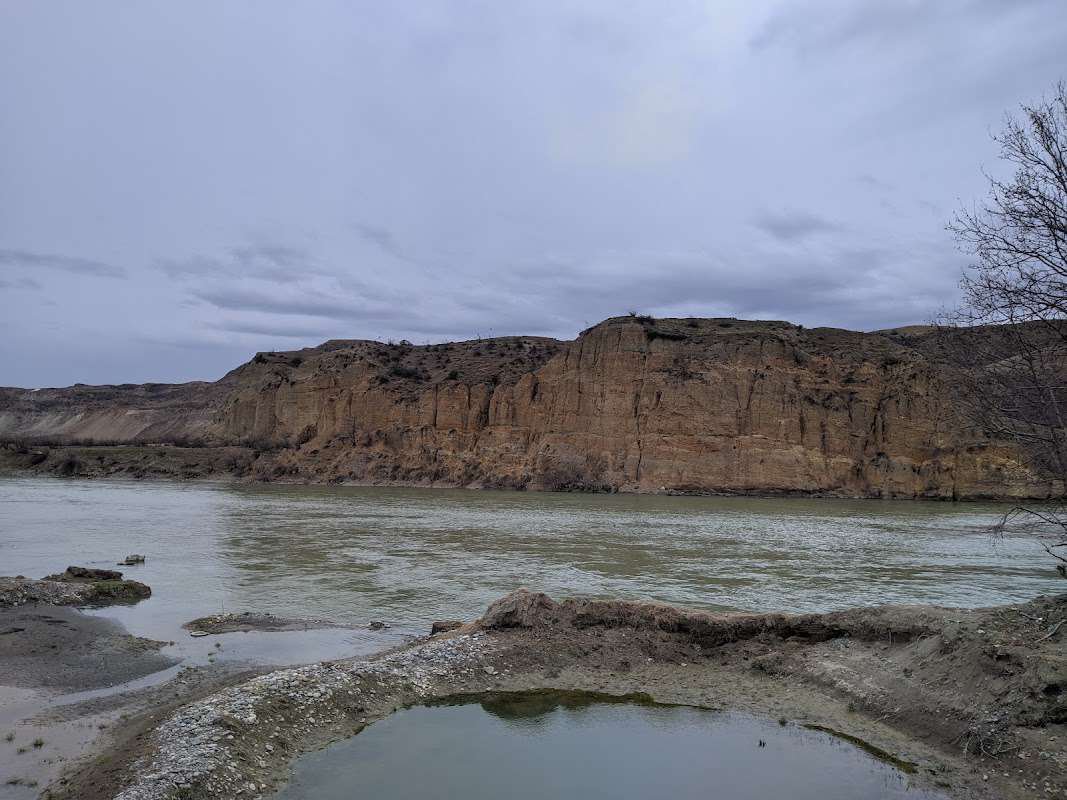 Руставский Лес.jpg