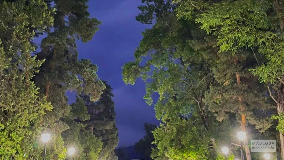 Вечерняя аллея в подсветке в саду Кужана
