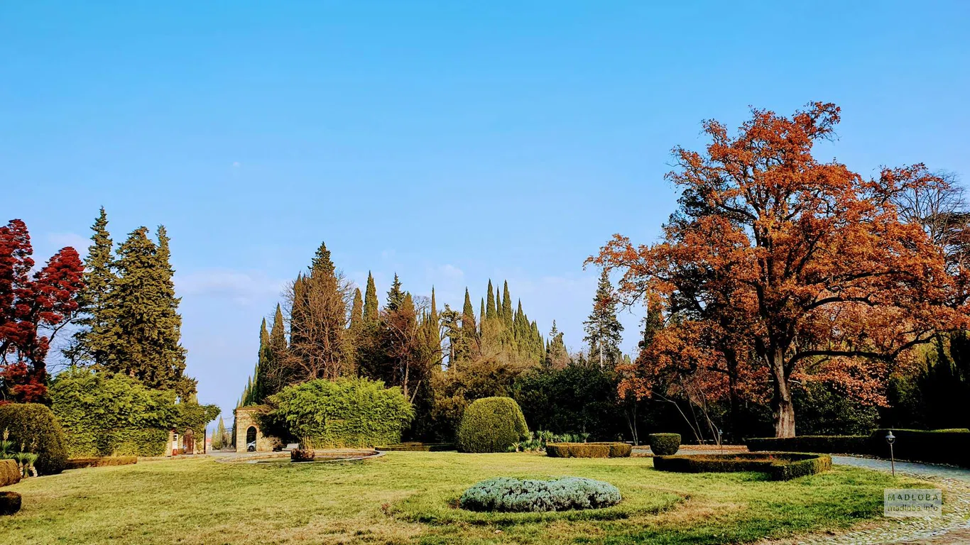 Осенний пейзаж в саду Цинандали