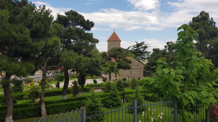 Yakov Gogebashvili's garden