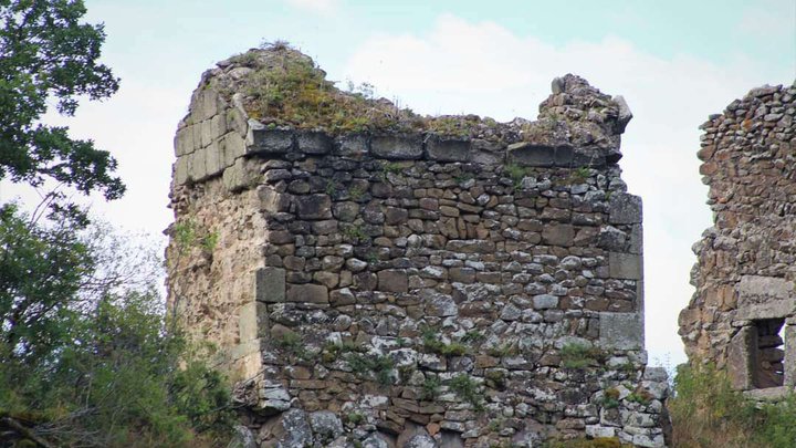 Крепость Саканапе (крепость Цриохи)