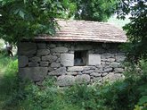 Самлоцвело Святого Пантелеймона в Ахалшени