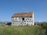 Самлоцвело Святого Саввы у Барети