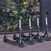 Scooter Rental Scroll