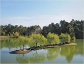 Ivanishvili Dendrological Park in Shekvetili