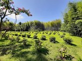 Ivanishvili Dendrological Park in Shekvetili