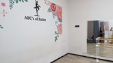 Балетная школа "ABC's of Ballet" (DS Mall)