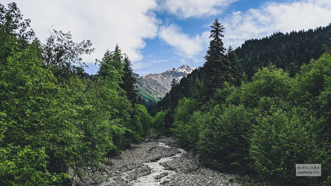 Шови — бальнео-климатический курорт на южном склоне Большого Кавказа
