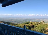 სიღნაღის მამული