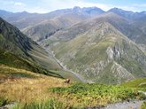 Singletrack