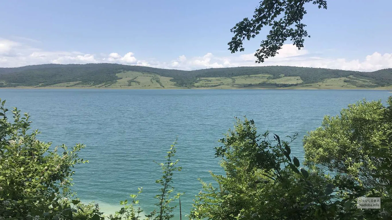 Вид с берега с зеленой растительностью на Сионское водохранилище