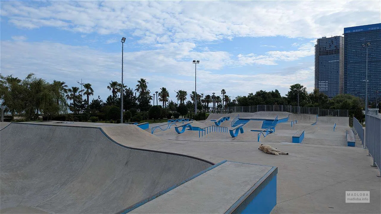 Скейт-парк и памп-трек (парк Лехи и Марии Качиньских)