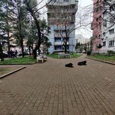 Сквер Нузгара Джапаридзе