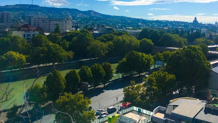 გადახედვა ვერის პარკში