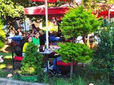 Soar Lounge Restaurant And Cafe