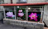 Sofia thai massage