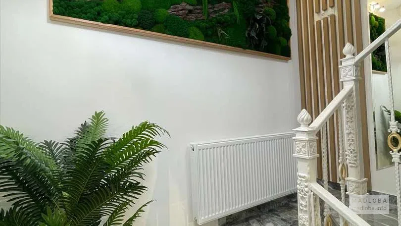 😁 SpartDental — лучшая стоматология Кутаиси для здоровья и красоты улыбки