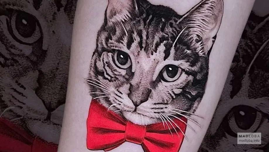 Spiritus Tattoo тату котик с красным бантом