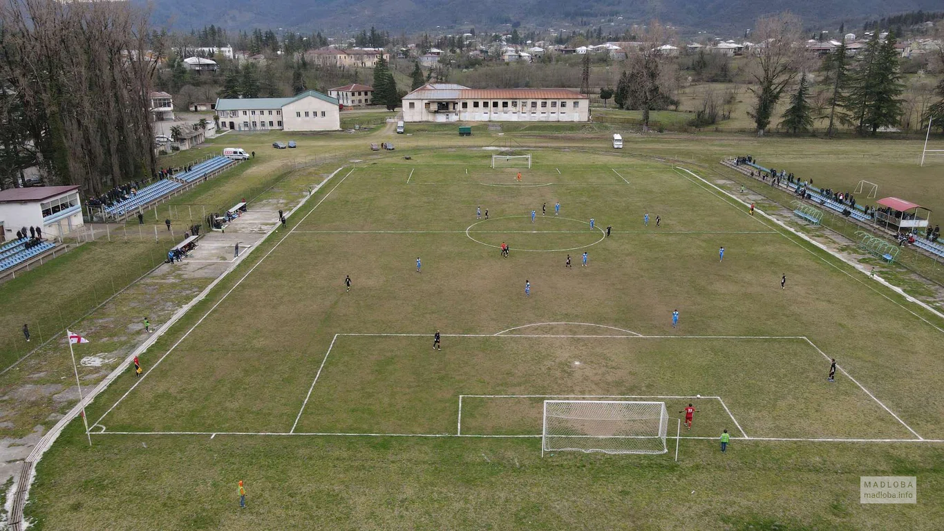 Boris Paichadze Stadium