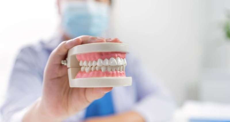 dentist with a model of a denture