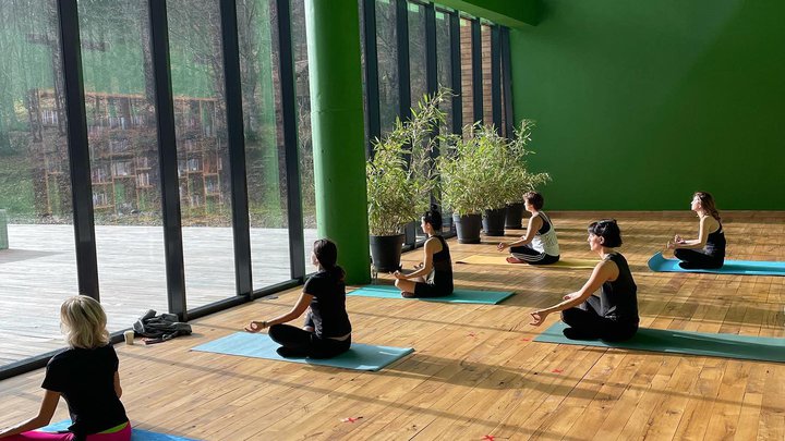 Arya yoga studio