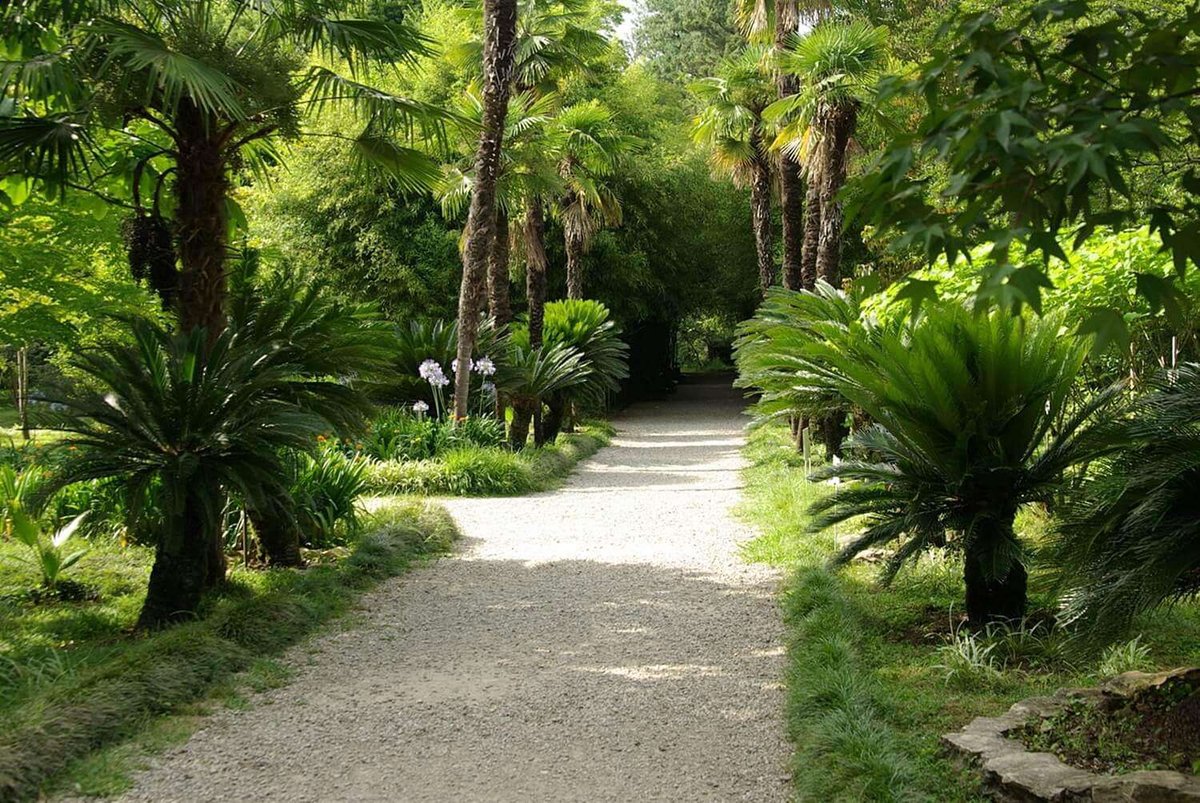 Sukhumi Botanical Garden