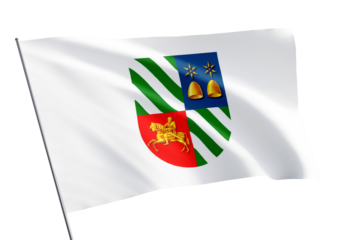 Sukhumi municipality flag