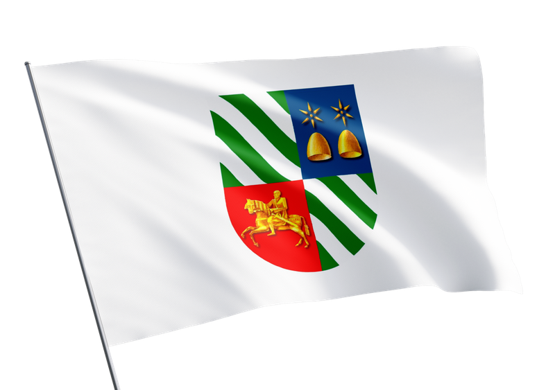 Сухумский муниципалитет флаг.png