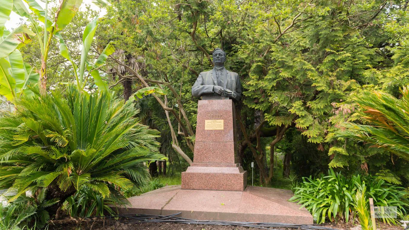 Памятник основателю Ботанического сада в Сухуми