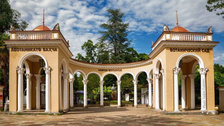 Ботанический сад в Сухуми