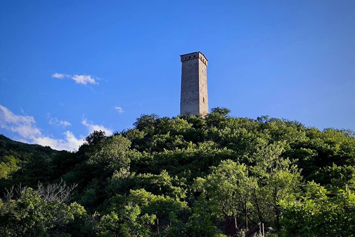 Svan tower