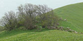 Delpini Khati Shrine