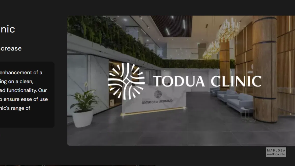 Tareev Studio — веб-студия в Тбилиси