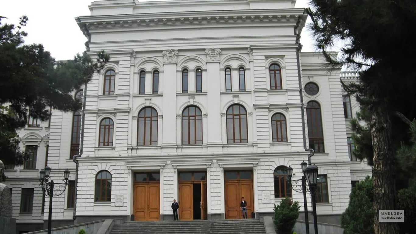 Тбилисский государственный университет