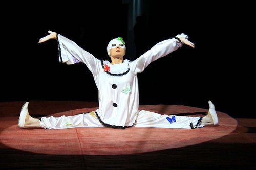 Tbilisi Circus in Georgia