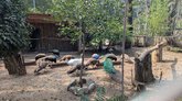 Tbilisi Zoo