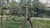 Tbilisi Zoo