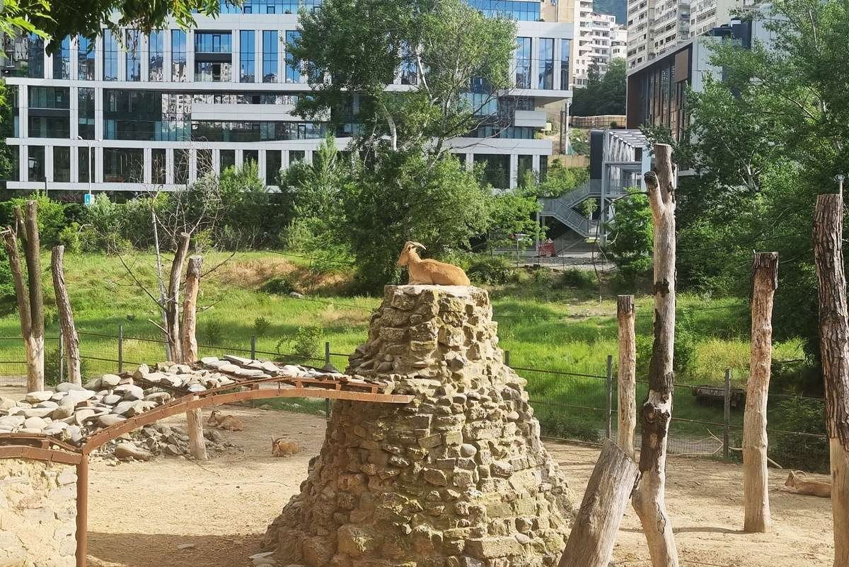 Tbilisi Zoological Park