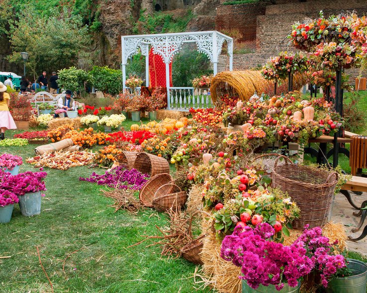 Цветочная выставка на празднике Тбилисоба