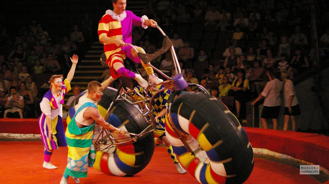 Представление в Tbilisi Circus