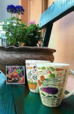 Tilda Cafe