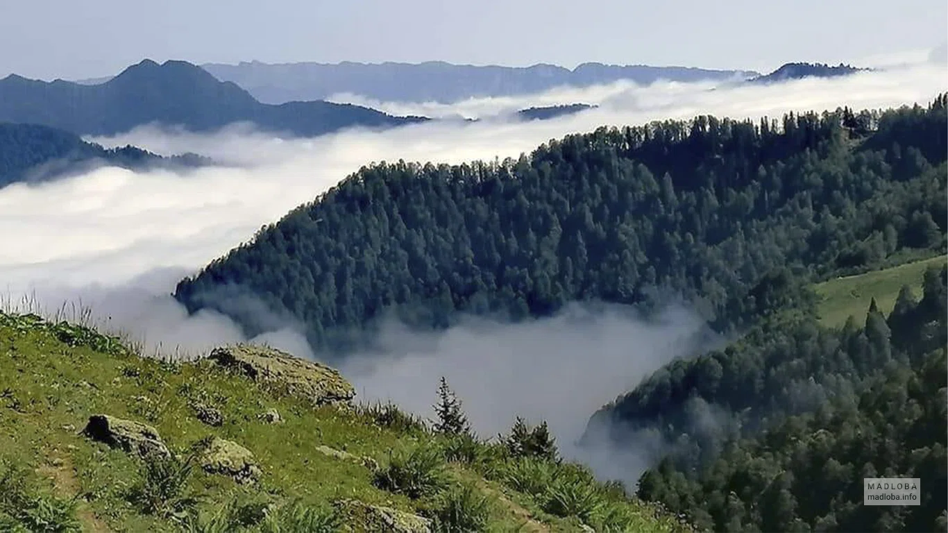 Путешествия выше облаков по горам с Trip Georgia